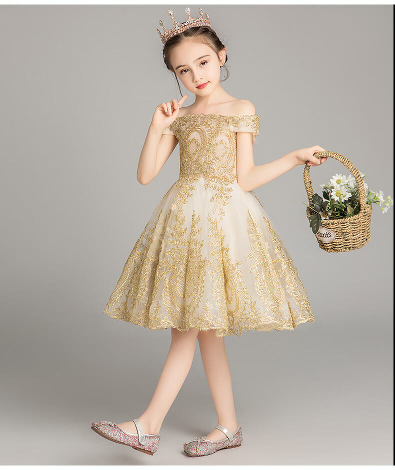 Déguisement Princesse Céleste