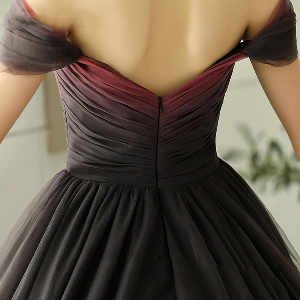 Robe de Soirée Princesse Adulte