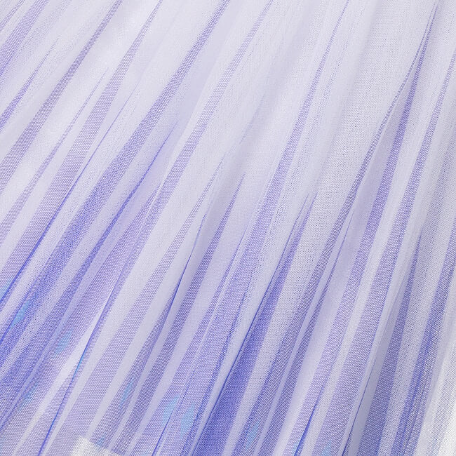 Robe Princesse Reine des Neiges