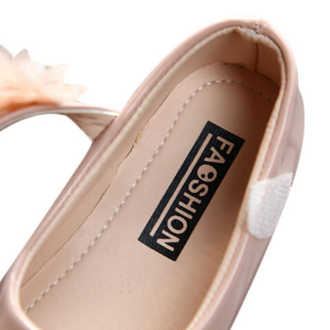 Cuir chaussure princesse