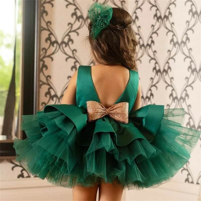 Robe princesse bebe fille