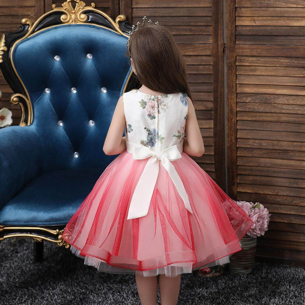 Robe de Princesse Rose pour Petite Fille - Main Image